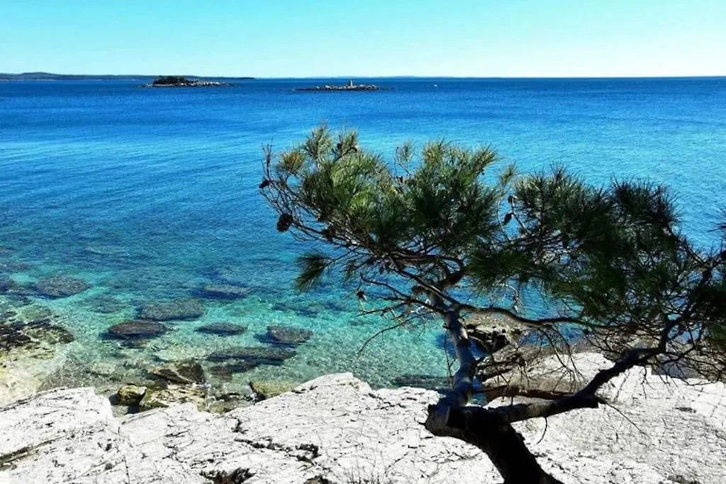 Holiday House Mateo Bubani Croacia